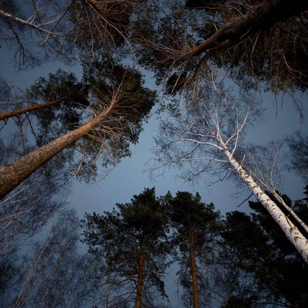 Место отдыха Кварц Увильды. Отдых на берегу озера Увильды