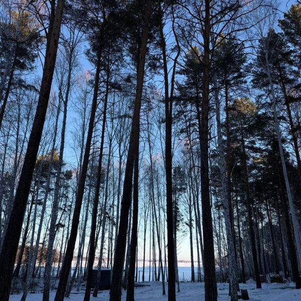 Место отдыха Кварц Увильды. Отдых в лесу с озером