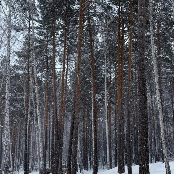 Место отдыха Кварц Увильды. Отдых на Увильды