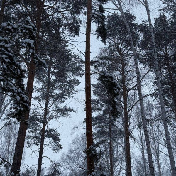 Место отдыха Кварц Увильды. Озеро Увильды отдых цены