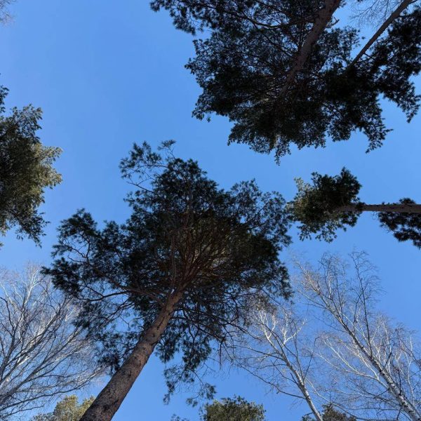 Место отдыха Кварц Увильды. Отдых на увильды челябинская область